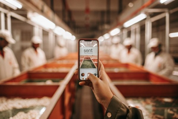 Professional inspector checking product quality in a Chinese factory warehouse by China Sourcing Agent